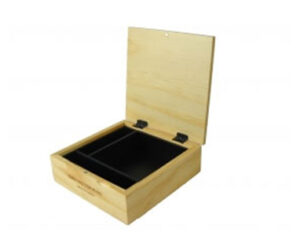 Earaphone box